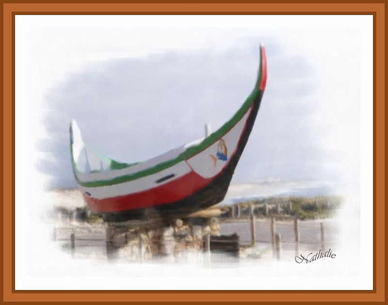 Pointu portuguais-border.jpg
